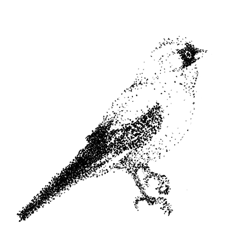 edanoue.com favicon